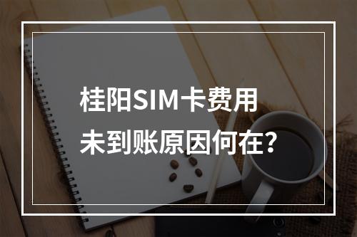 桂阳SIM卡费用未到账原因何在？