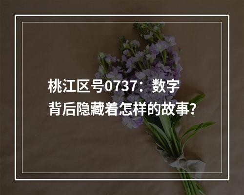 桃江区号0737：数字背后隐藏着怎样的故事？