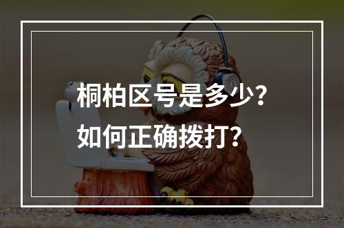 桐柏区号是多少？如何正确拨打？