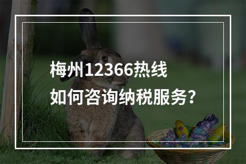 梅州12366热线如何咨询纳税服务？