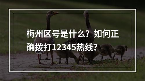 梅州区号是什么？如何正确拨打12345热线？