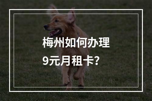 梅州如何办理9元月租卡？