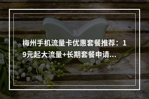 梅州手机流量卡优惠套餐推荐：19元起大流量+长期套餐申请攻略