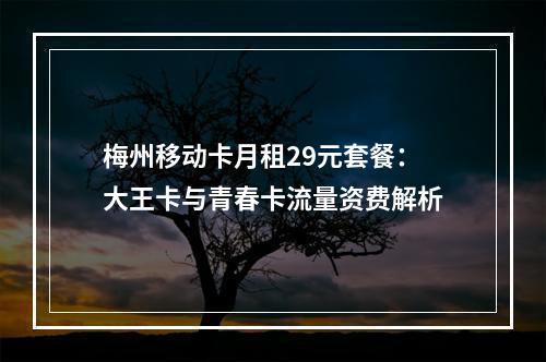 梅州移动卡月租29元套餐：大王卡与青春卡流量资费解析