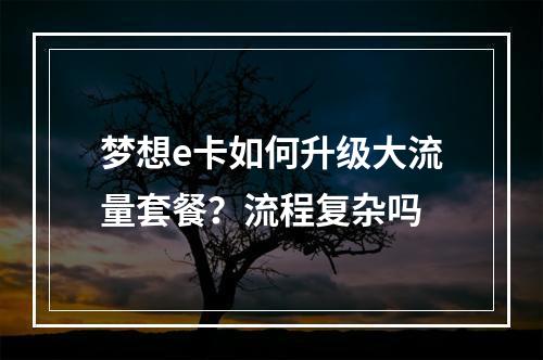 梦想e卡如何升级大流量套餐？流程复杂吗