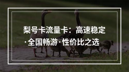 梨号卡流量卡：高速稳定·全国畅游·性价比之选