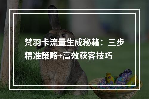 梵羽卡流量生成秘籍：三步精准策略+高效获客技巧