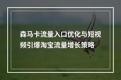 森马卡流量入口优化与短视频引爆淘宝流量增长策略