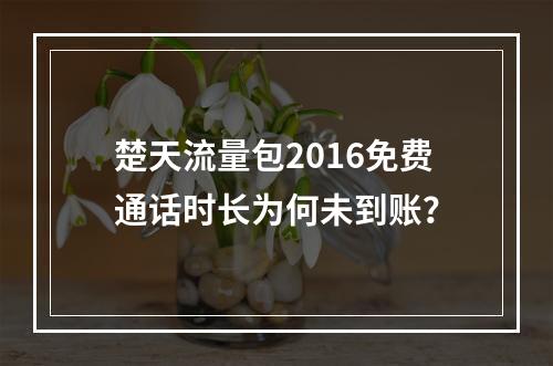楚天流量包2016免费通话时长为何未到账？
