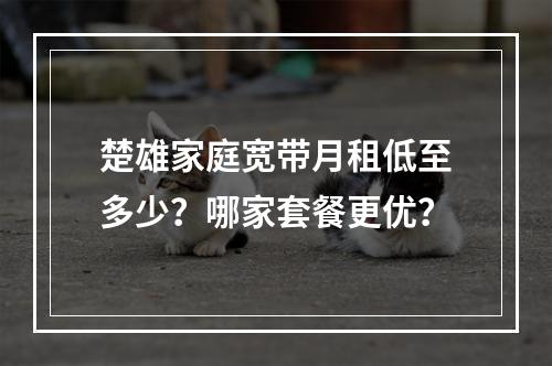楚雄家庭宽带月租低至多少？哪家套餐更优？