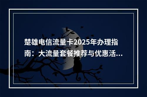 楚雄电信流量卡2025年办理指南：大流量套餐推荐与优惠活动