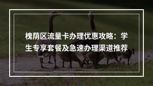 槐荫区流量卡办理优惠攻略：学生专享套餐及急速办理渠道推荐