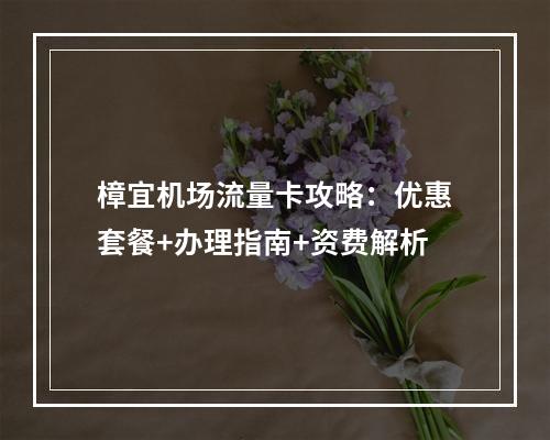 樟宜机场流量卡攻略：优惠套餐+办理指南+资费解析