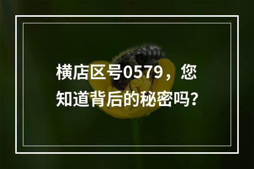 横店区号0579，您知道背后的秘密吗？