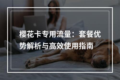 樱花卡专用流量：套餐优势解析与高效使用指南