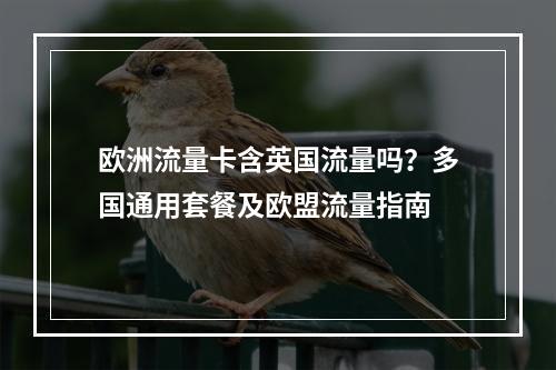 欧洲流量卡含英国流量吗？多国通用套餐及欧盟流量指南