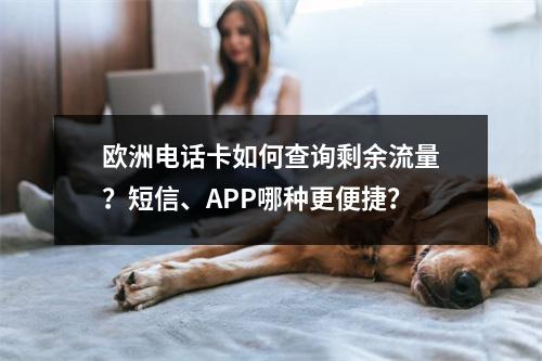 欧洲电话卡如何查询剩余流量？短信、APP哪种更便捷？