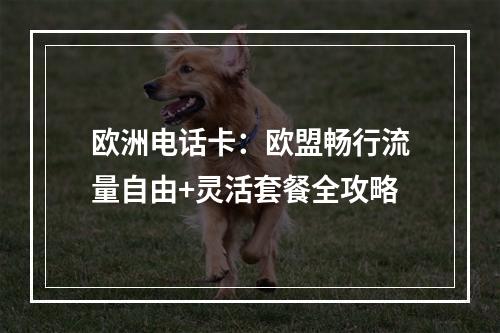 欧洲电话卡：欧盟畅行流量自由+灵活套餐全攻略