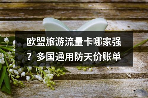 欧盟旅游流量卡哪家强？多国通用防天价账单