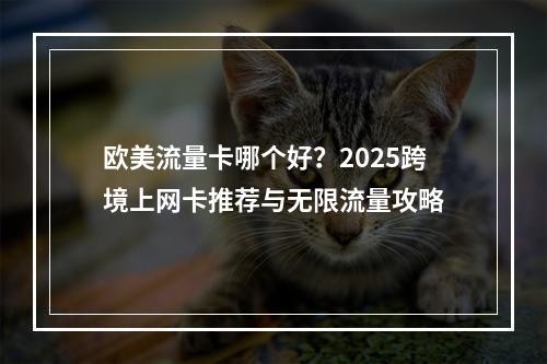欧美流量卡哪个好？2025跨境上网卡推荐与无限流量攻略