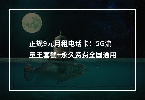 正规9元月租电话卡：5G流量王套餐+永久资费全国通用