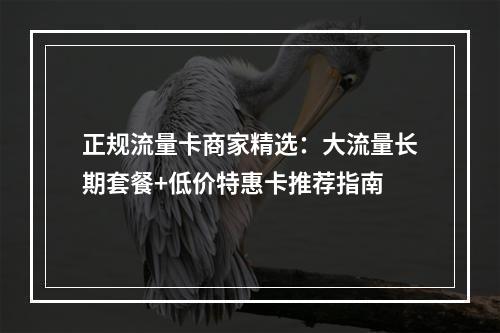 正规流量卡商家精选：大流量长期套餐+低价特惠卡推荐指南