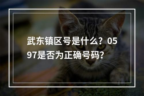 武东镇区号是什么？0597是否为正确号码？