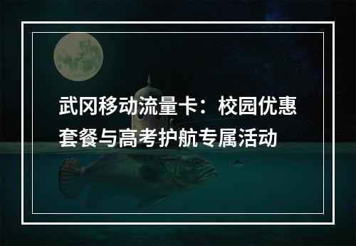 武冈移动流量卡：校园优惠套餐与高考护航专属活动