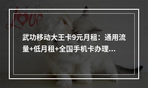 武功移动大王卡9元月租：通用流量+低月租+全国手机卡办理攻略
