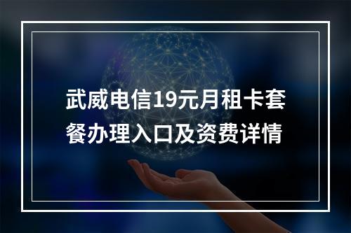 武威电信19元月租卡套餐办理入口及资费详情