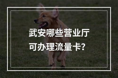 武安哪些营业厅可办理流量卡？