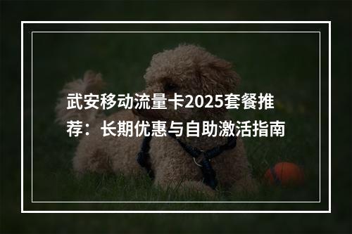 武安移动流量卡2025套餐推荐：长期优惠与自助激活指南