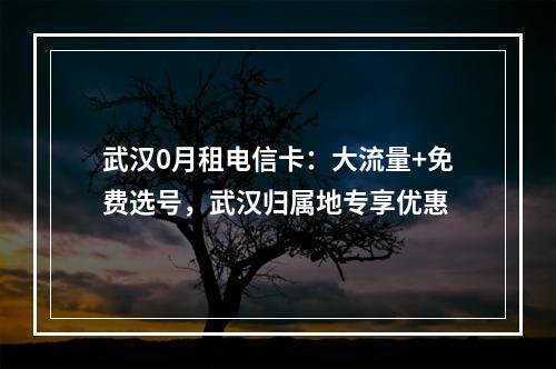 武汉0月租电信卡：大流量+免费选号，武汉归属地专享优惠