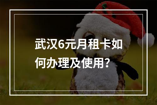 武汉6元月租卡如何办理及使用？