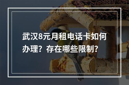 武汉8元月租电话卡如何办理？存在哪些限制？