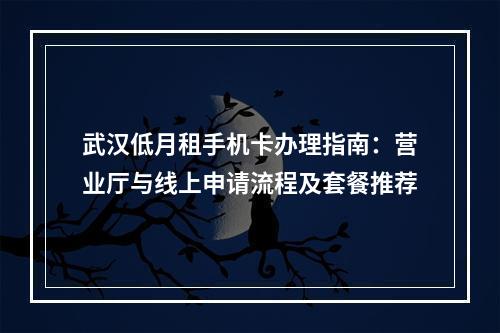 武汉低月租手机卡办理指南：营业厅与线上申请流程及套餐推荐