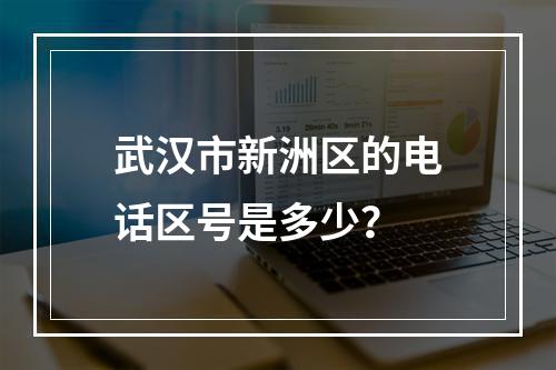 武汉市新洲区的电话区号是多少？