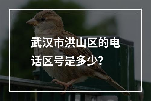 武汉市洪山区的电话区号是多少？