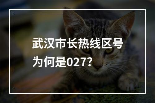 武汉市长热线区号为何是027？