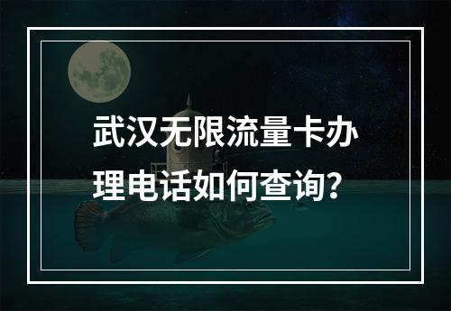 武汉无限流量卡办理电话如何查询？