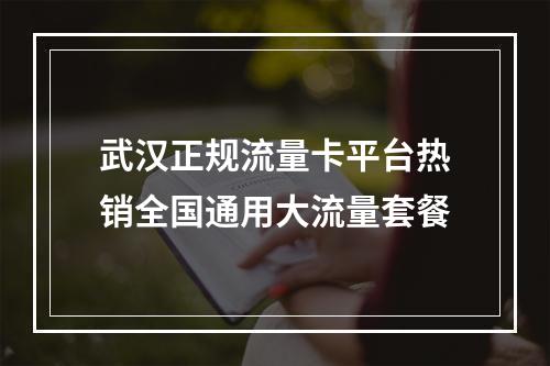 武汉正规流量卡平台热销全国通用大流量套餐