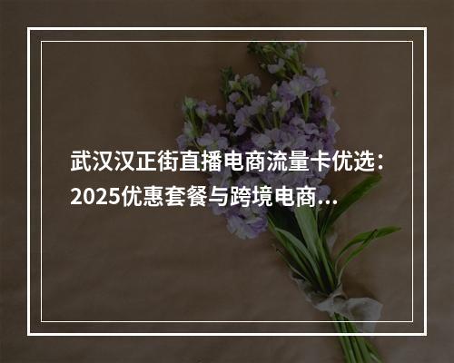 武汉汉正街直播电商流量卡优选：2025优惠套餐与跨境电商专享
