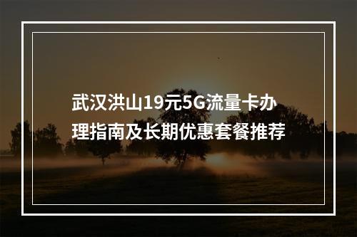 武汉洪山19元5G流量卡办理指南及长期优惠套餐推荐