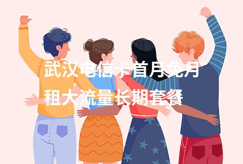 武汉电信卡首月免月租大流量长期套餐