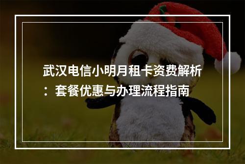 武汉电信小明月租卡资费解析：套餐优惠与办理流程指南