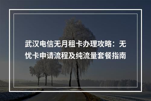 武汉电信无月租卡办理攻略：无忧卡申请流程及纯流量套餐指南