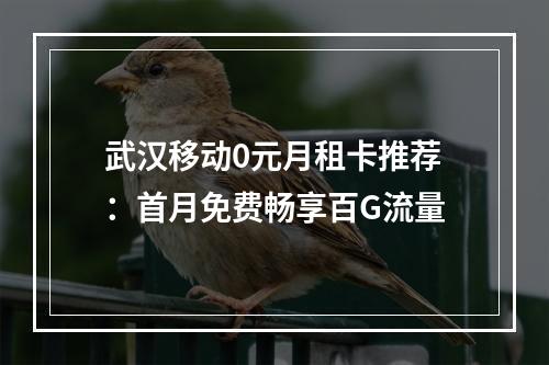 武汉移动0元月租卡推荐：首月免费畅享百G流量