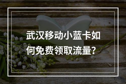 武汉移动小蓝卡如何免费领取流量？