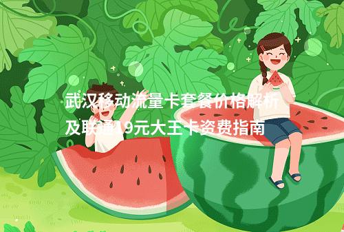 武汉移动流量卡套餐价格解析及联通19元大王卡资费指南