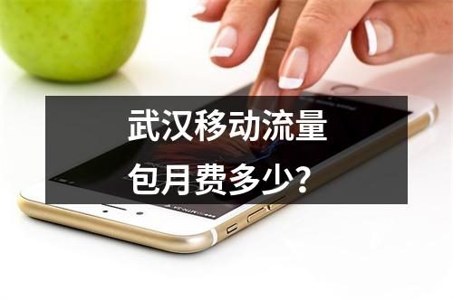 武汉移动流量包月费多少？